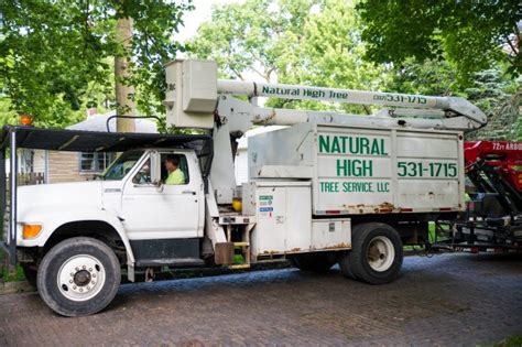 Natural High Tree Service, Llc